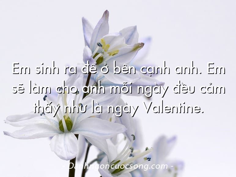 Em sinh ra để ở bên cạnh anh. Em sẽ làm cho anh mỗi ngày đều cảm thấy như là ngày Valentine.