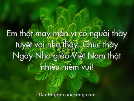 Em thật may mắn vì có người thầy tuyệt vời như thầy. Chúc thầy Ngày Nhà giáo Việt Nam thật nhiều niềm vui!