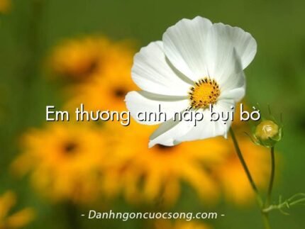 Em thương anh nấp bụi bờ