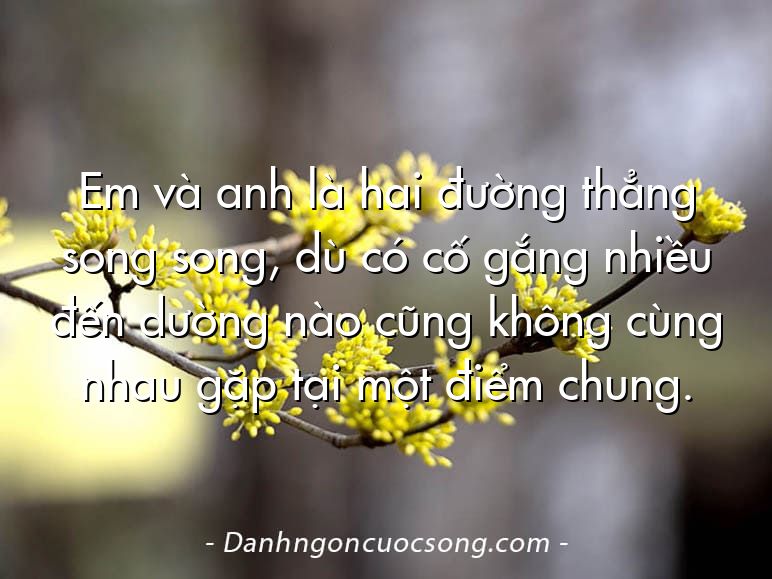Em và anh là hai đường thẳng song song, dù có cố gắng nhiều đến dường nào cũng không cùng nhau gặp tại một điểm chung.