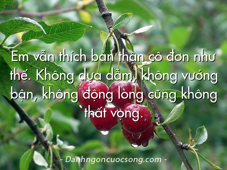 Em vẫn thích bản thân cô đơn như thế. Không dựa dẫm, không vướng bận, không động lòng cũng không thất vọng.