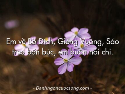 Em về Bồ Địch, Giếng Vuông, Sáo treo bốn bức, em buồn nỗi chi.