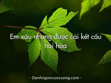 Em xấu nhưng được cái kết cấu hài hòa