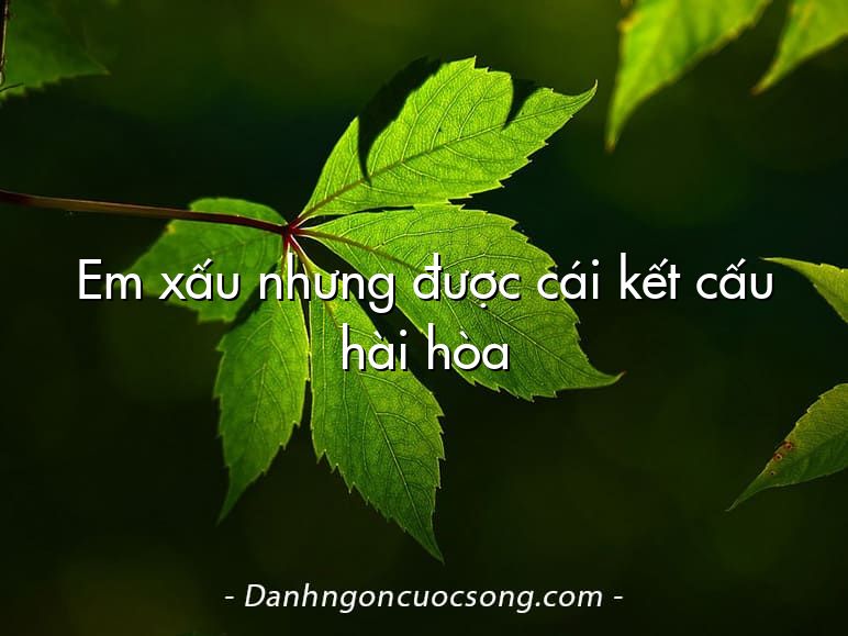 Em xấu nhưng được cái kết cấu hài hòa