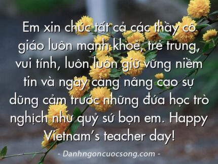 Em xin chúc tất cả các thầy cô giáo luôn mạnh khoẻ, trẻ trung, vui tính, luôn luôn giữ vững niềm tin và ngày càng nâng cao sự dũng cảm trước những đứa học trò nghịch như quỷ sứ bọn em. Happy Vietnam’s teacher day!