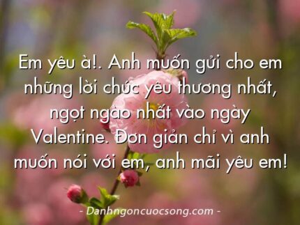 Em yêu à!. Anh muốn gửi cho em những lời chúc yêu thương nhất, ngọt ngào nhất vào ngày Valentine. Đơn giản chỉ vì anh muốn nói với em, anh mãi yêu em!