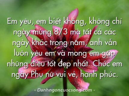 Em yêu, em biết không, không chỉ ngày mùng 8/3 mà tất cả các ngày khác trong năm, anh vẫn luôn yêu em và mong em gặp những điều tốt đẹp nhất. Chúc em ngày Phụ nữ vui vẻ, hạnh phúc.