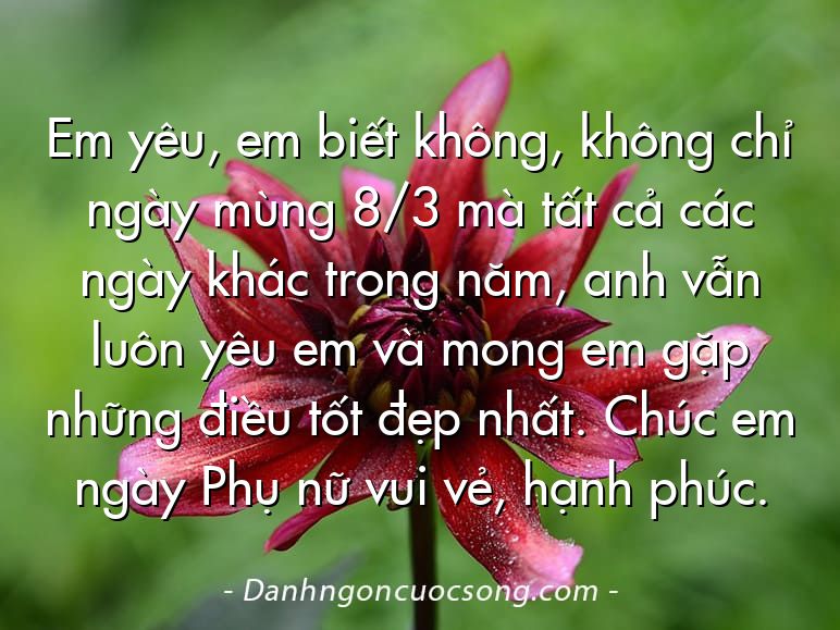 Em yêu, em biết không, không chỉ ngày mùng 8/3 mà tất cả các ngày khác trong năm, anh vẫn luôn yêu em và mong em gặp những điều tốt đẹp nhất. Chúc em ngày Phụ nữ vui vẻ, hạnh phúc.