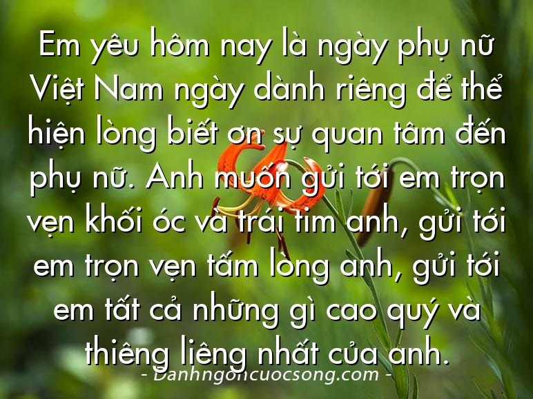 Em yêu hôm nay là ngày phụ nữ Việt Nam ngày dành riêng để thể hiện lòng biết ơn sự quan tâm đến phụ nữ. Anh muốn gửi tới em trọn vẹn khối óc và trái tim anh, gửi tới em trọn vẹn tấm lòng anh, gửi tới em tất cả những gì cao quý và thiêng liêng nhất của anh.