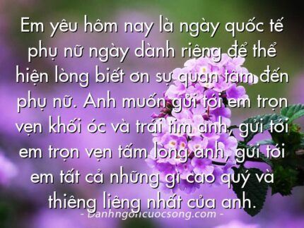Em yêu hôm nay là ngày quốc tế phụ nữ ngày dành riêng để thể hiện lòng biết ơn sự quan tâm đến phụ nữ. Anh muốn gửi tới em trọn vẹn khối óc và trái tim anh, gửi tới em trọn vẹn tấm lòng anh, gửi tới em tất cả những gì cao quý và thiêng liêng nhất của anh.