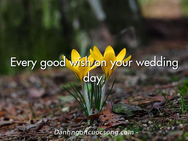 Every good wish on your wedding day.