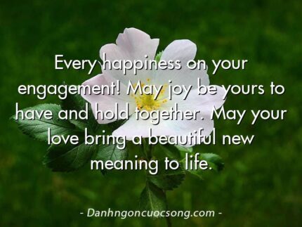 Every happiness on your engagement! May joy be yours to have and hold together. May your love bring a beautiful new meaning to life.