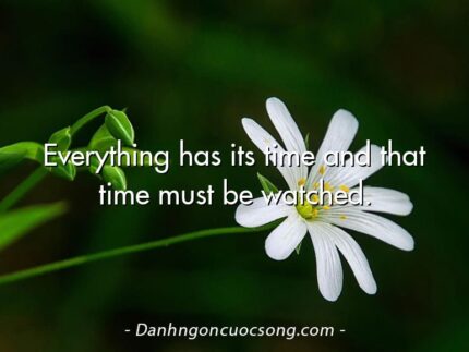 Everything has its time and that time must be watched.