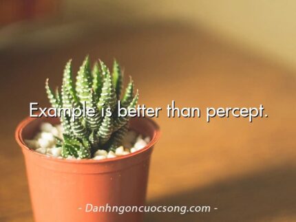 Example is better than percept.