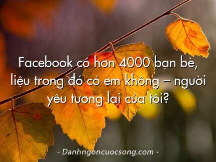 Facebook có hơn 4000 bạn bè, liệu trong đó có em không – người yêu tương lai của tôi?