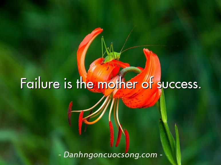 Failure is the mother of success.