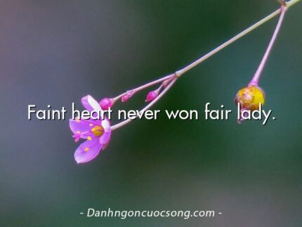 Faint heart never won fair lady.