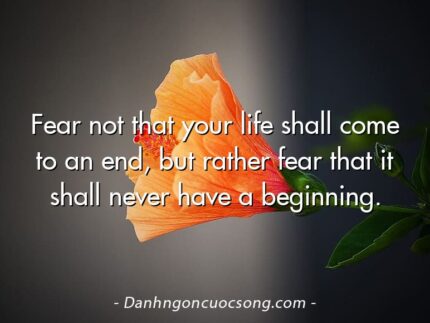 Fear not that your life shall come to an end, but rather fear that it shall never have a beginning.