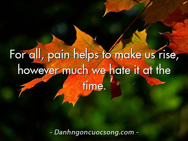For all, pain helps to make us rise, however much we hate it at the time.