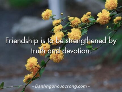 Friendship is to be strengthened by truth and devotion.