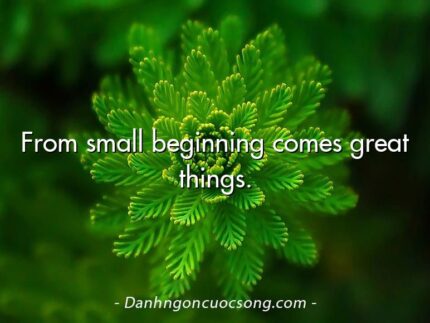 From small beginning comes great things.