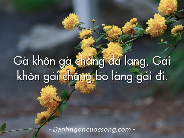 Gà khôn gà chẳng đá lang, Gái khôn gái chẳng bỏ làng gái đi.