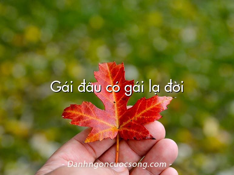 Gái đâu có gái lạ đời