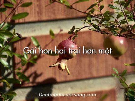 Gái hơn hai trai hơn một