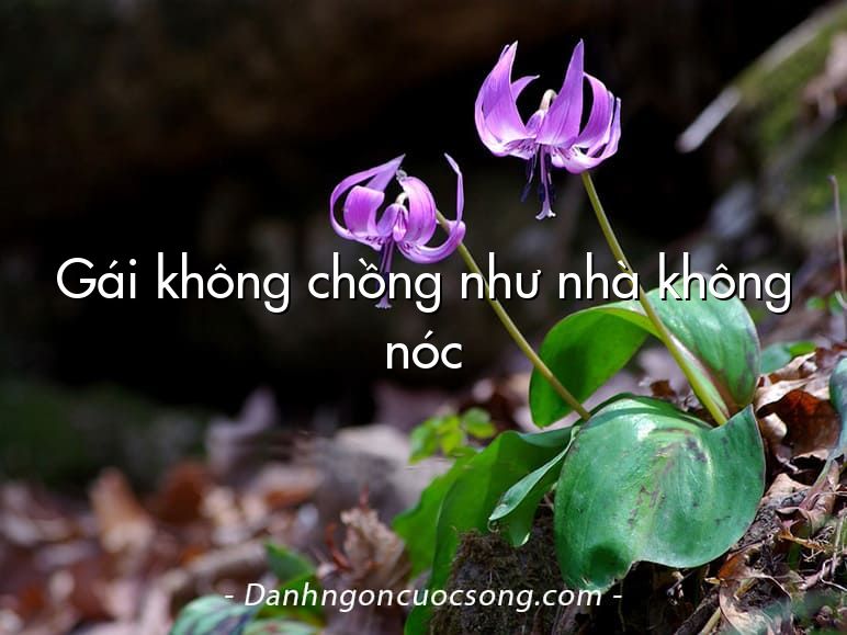 Gái không chồng như nhà không nóc