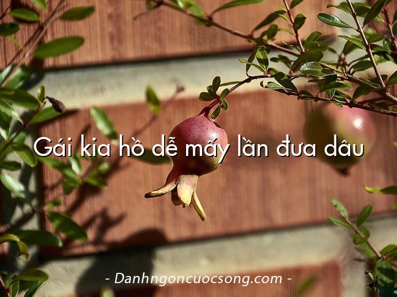 Gái kia hồ dễ mấy lần đưa dâu