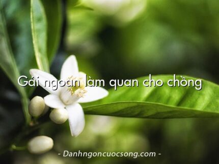 Gái ngoan làm quan cho chồng