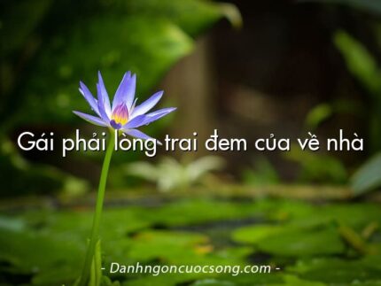 Gái phải lòng trai đem của về nhà