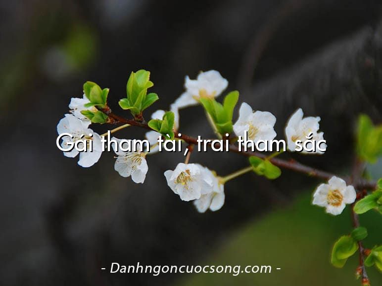Gái tham tài, trai tham sắc