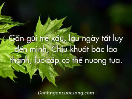 Gần gũi trẻ xấu, lâu ngày tất lụy đến mình, Chịu khuất bậc lão thành, lúc cấp có thể nương tựa.