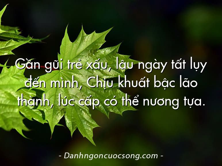Gần gũi trẻ xấu, lâu ngày tất lụy đến mình, Chịu khuất bậc lão thành, lúc cấp có thể nương tựa.