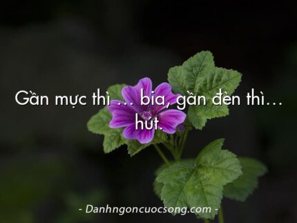 Gần mực thì … bia, gần đèn thì… hút.