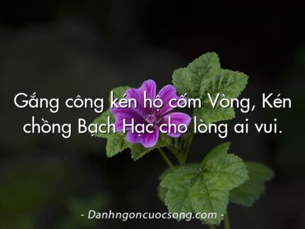 Gắng công kén hộ cốm Vòng, Kén chồng Bạch Hạc cho lòng ai vui.