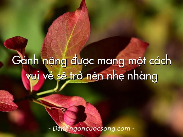 Gánh nặng được mang một cách vui vẻ sẽ trở nên nhẹ nhàng