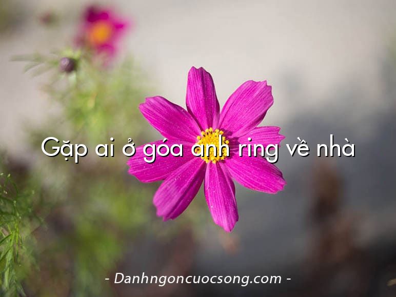 Gặp ai ở góa anh ring về nhà