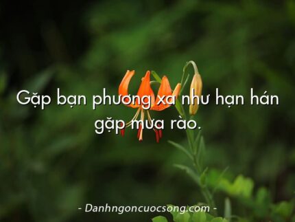 Gặp bạn phương xa như hạn hán gặp mưa rào.