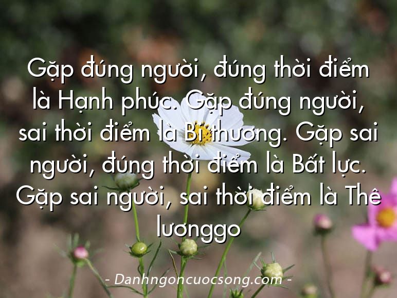 Gặp đúng người, đúng thời điểm là Hạnh phúc. Gặp đúng người, sai thời điểm là Bi thương. Gặp sai người, đúng thời điểm là Bất lực. Gặp sai người, sai thời điểm là Thê lươnggo