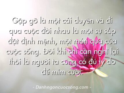 Gặp gỡ là một cái duyên và đi qua cuộc đời nhau là một sự sắp đặt định mệnh, một món quà của cuộc sống. Đôi khi chỉ cần nghĩ lại thôi là người ta cũng có đủ lý do để mỉm cười.