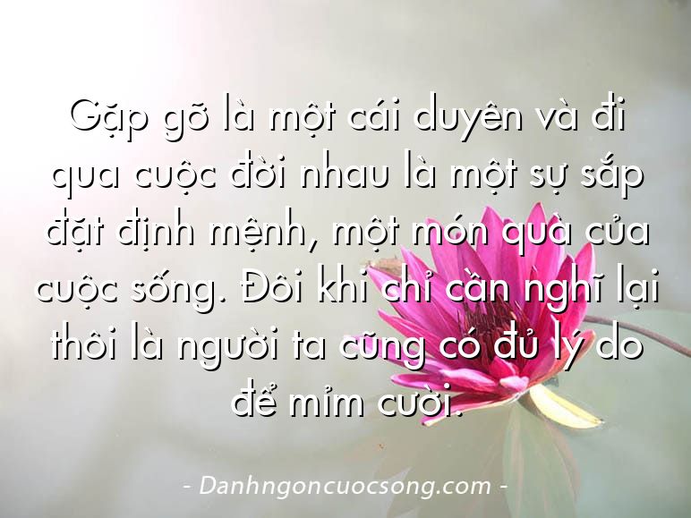 Gặp gỡ là một cái duyên và đi qua cuộc đời nhau là một sự sắp đặt định mệnh, một món quà của cuộc sống. Đôi khi chỉ cần nghĩ lại thôi là người ta cũng có đủ lý do để mỉm cười.