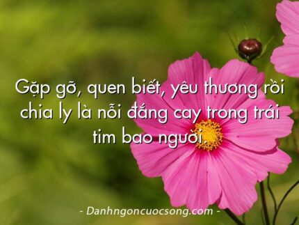 Gặp gỡ, quen biết, yêu thương rồi chia ly là nỗi đắng cay trong trái tim bao người.  