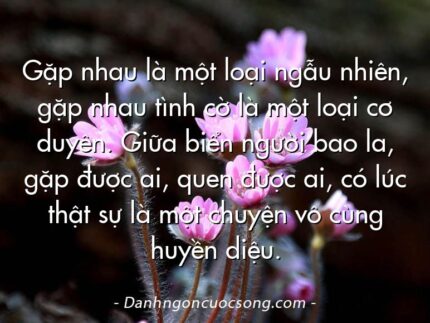 Gặp nhau là một loại ngẫu nhiên, gặp nhau tình cờ là một loại cơ duyên. Giữa biển người bao la, gặp được ai, quen được ai, có lúc thật sự là một chuyện vô cùng huyền diệu.