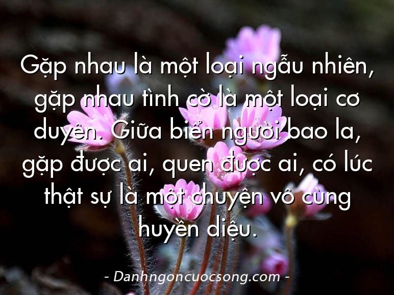 Gặp nhau là một loại ngẫu nhiên, gặp nhau tình cờ là một loại cơ duyên. Giữa biển người bao la, gặp được ai, quen được ai, có lúc thật sự là một chuyện vô cùng huyền diệu.