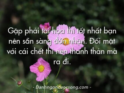 Gặp phải tai họa thì tốt nhất bạn nên sẵn sàng đón nhận. Đối mặt với cái chết thì nên thanh thản mà ra đi.