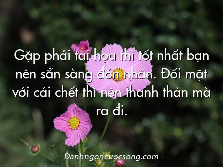 Gặp phải tai họa thì tốt nhất bạn nên sẵn sàng đón nhận. Đối mặt với cái chết thì nên thanh thản mà ra đi.