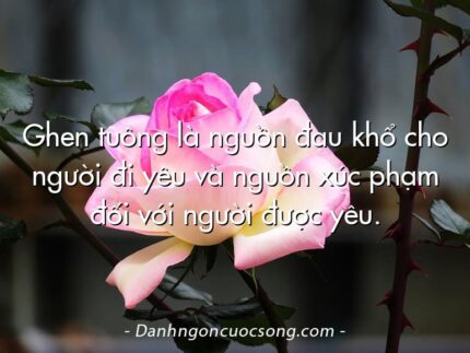 Ghen tuông là nguồn đau khổ cho người đi yêu và nguồn xúc phạm đối với người được yêu.