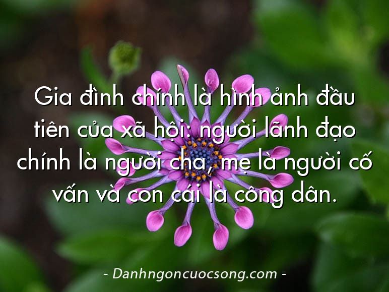 Gia đình chính là hình ảnh đầu tiên của xã hội: người lãnh đạo chính là người cha, mẹ là người cố vấn và con cái là công dân.